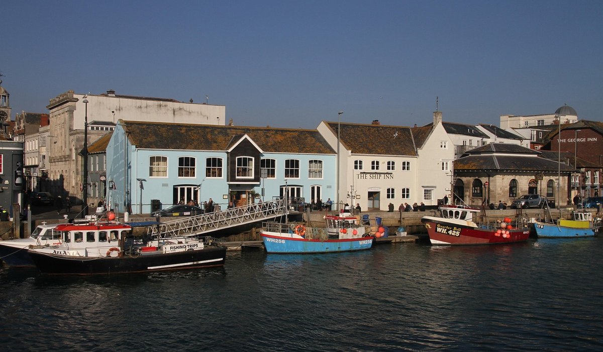 Beginner's Guide to Snorkelling in British Seas